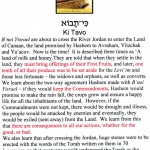 Ki Tavo