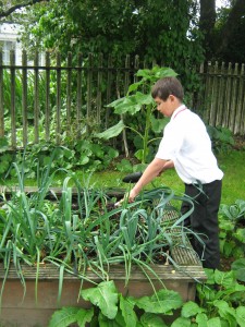 GARDEN 008