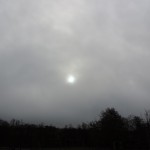 DSCN1051