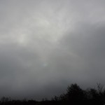DSCN1053